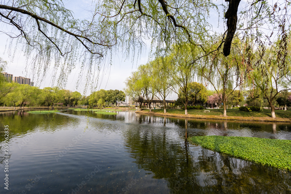 landscape of west lake in hangzhou china