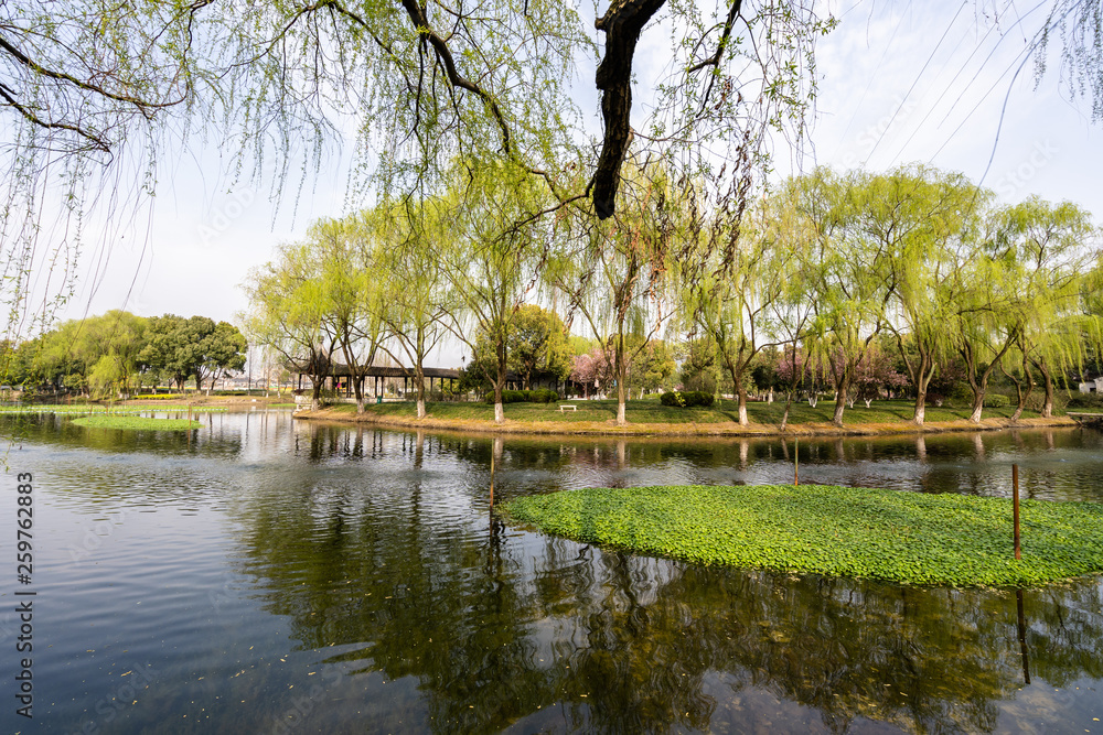 landscape of west lake in hangzhou china