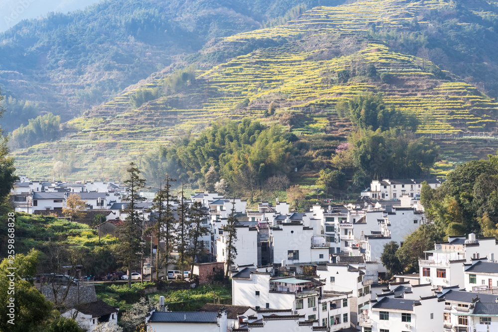 五原山村春意盎然