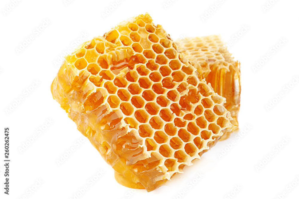 Honeycomb slice closeup on white