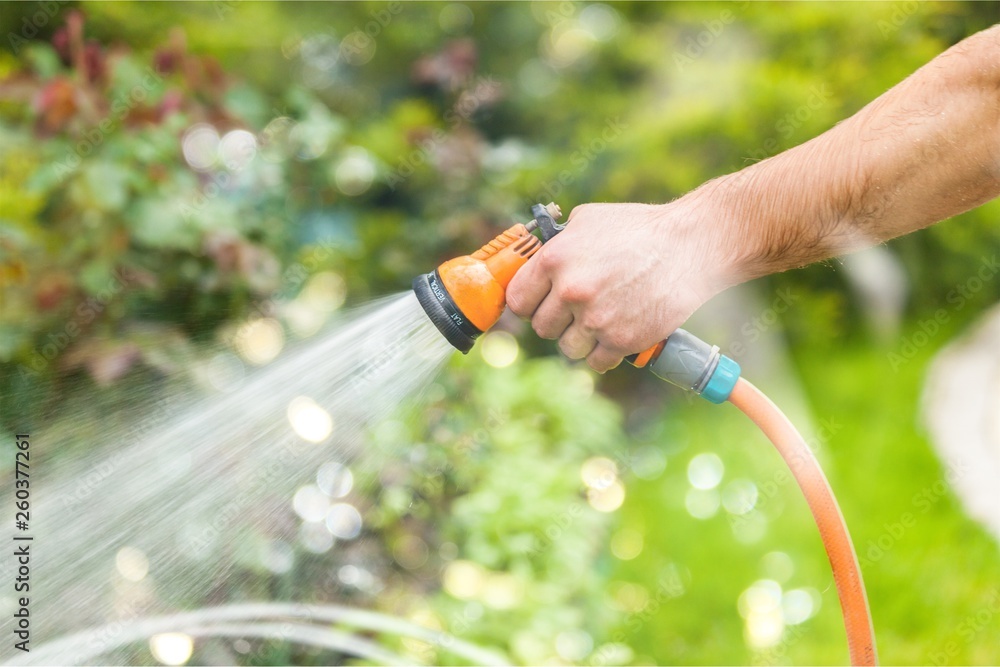 Watering green garden with outdoor hose