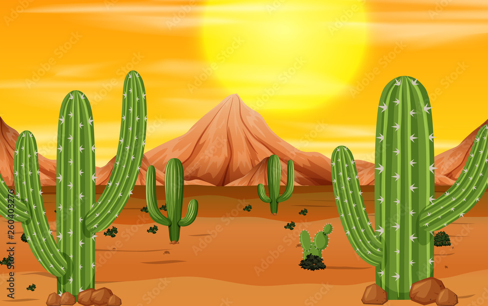 A desert sunset scene