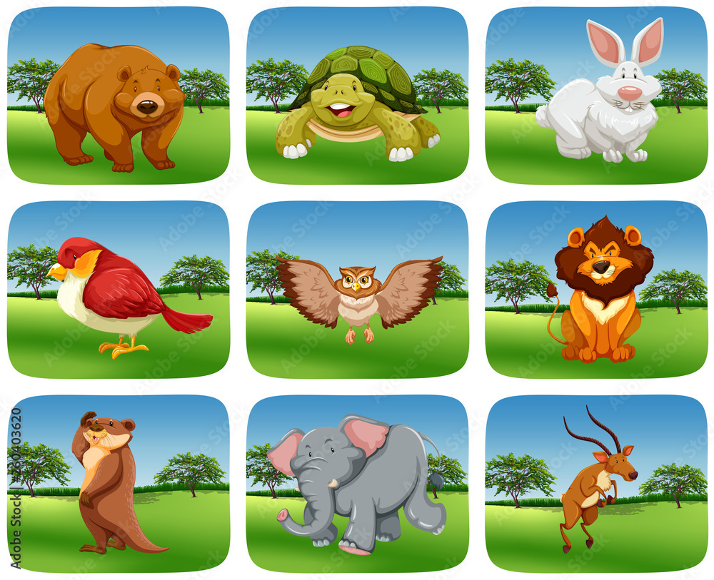 Set of animals in nature scene