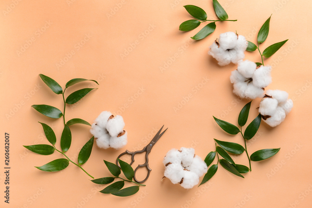 Cotton flowers with leaves and scissors on color background