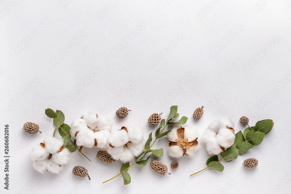 Cotton flowers with eucalyptus leaves on white background