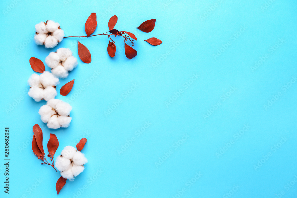 Cotton flowers with leaves on color background