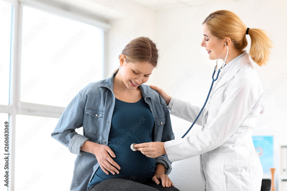 Young pregnant woman visiting her gynecologist in clinic