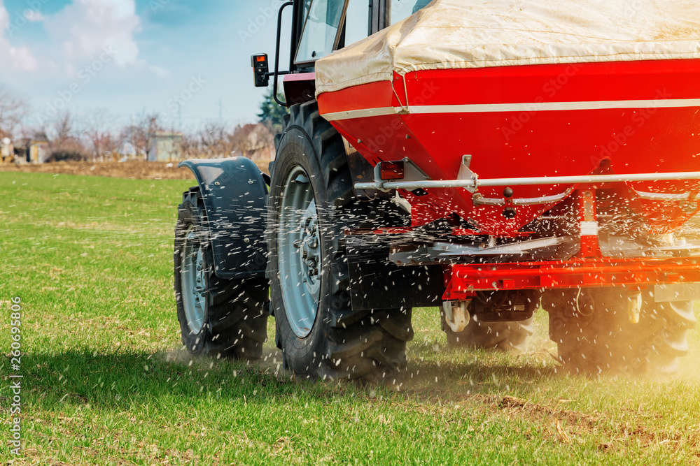 Agricultural tractor fertilizing wheat crop field with NPK