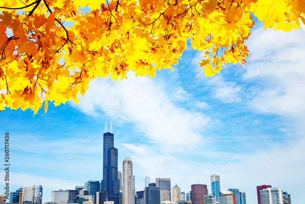 Autumn leaves and Chicago waterfront lake skyline