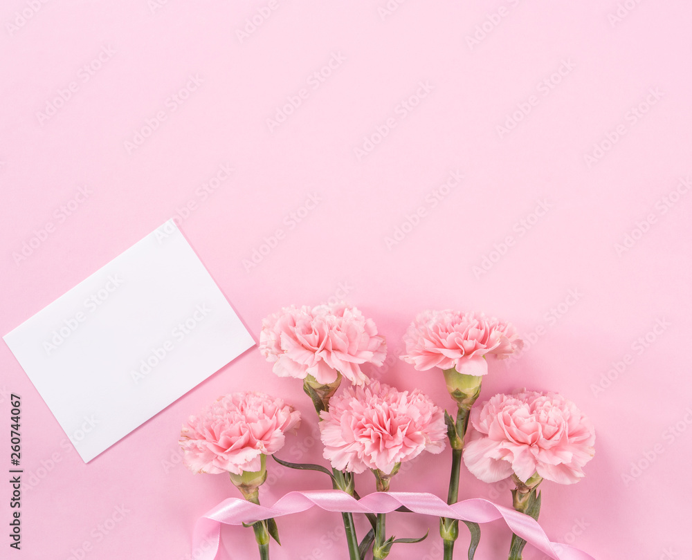 Beautiful fresh blooming baby pink color tender carnations isolated on bright pink background, mothe