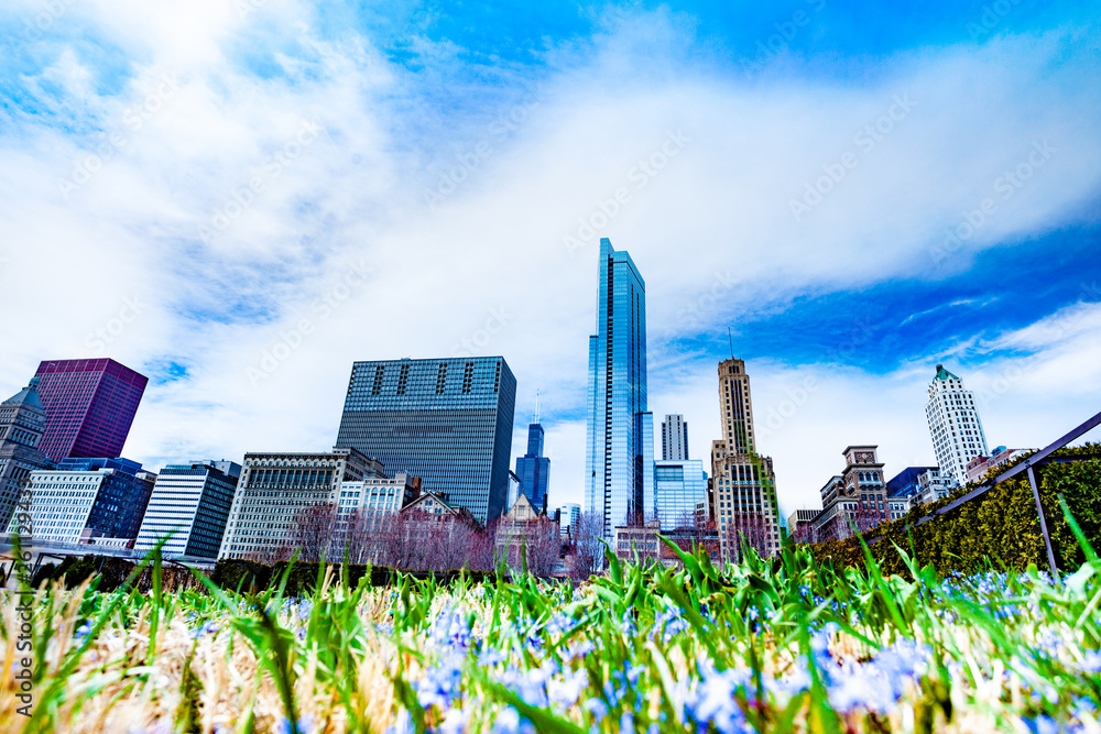 芝加哥市中心的天际线，前景是草地