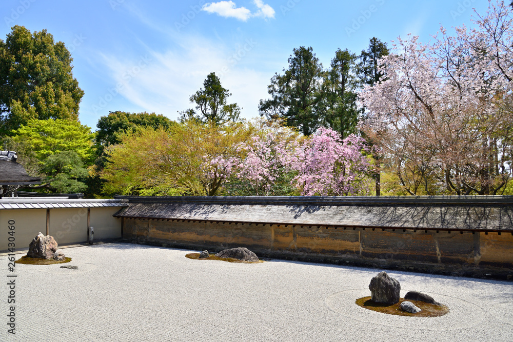 石庭の桜