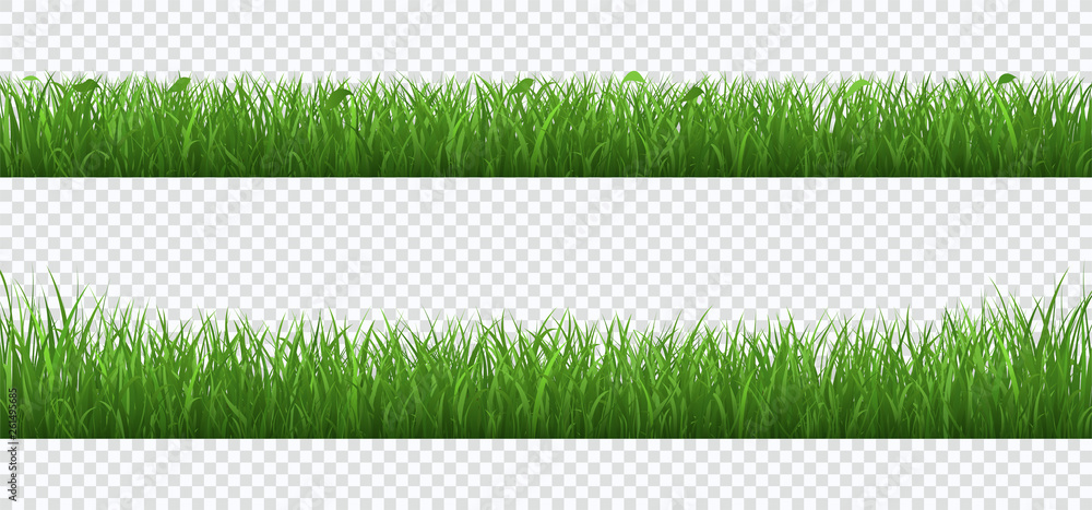 Green grass with plants border set isolated on transparent background.