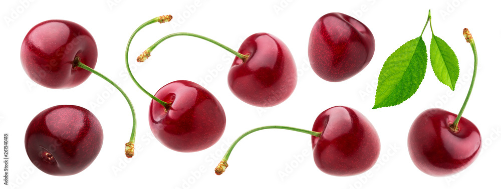 Cherry isolated on white background with clipping path, fresh cherries with stems and leaves