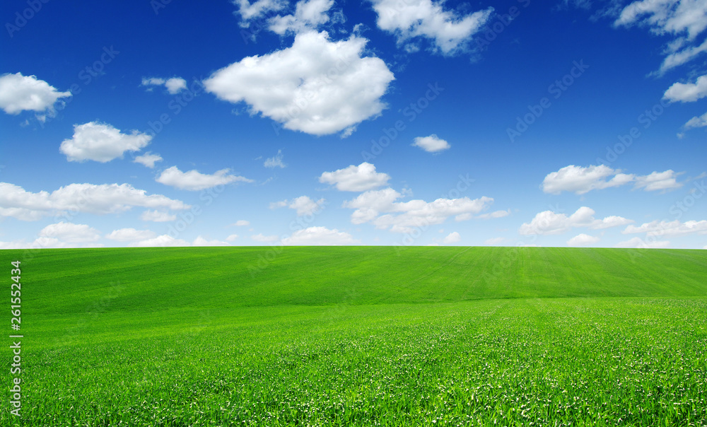 green field and blue sky