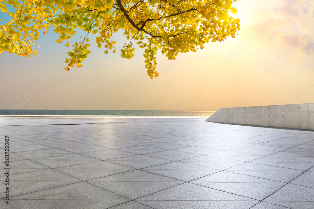 Empty square floors and river with yellow ginkgo background