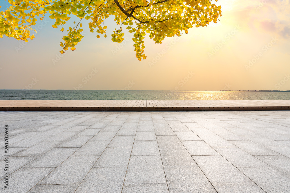 Empty square floors and river with yellow ginkgo background