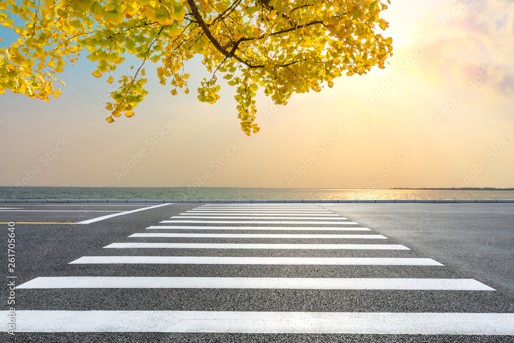 斑马横穿道路和河流，有黄色银杏树景观