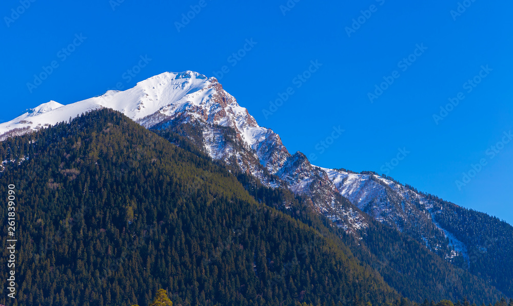 Snow-capped mountains and coniferous trees of the North Caucasus