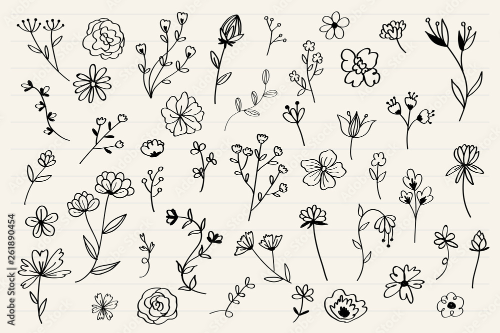 Hand drawn flower set