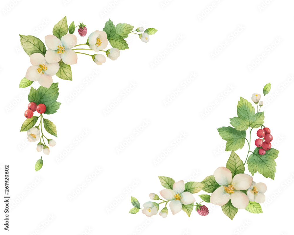 Watercolor vector wreath of Jasmine and red currant flowers.