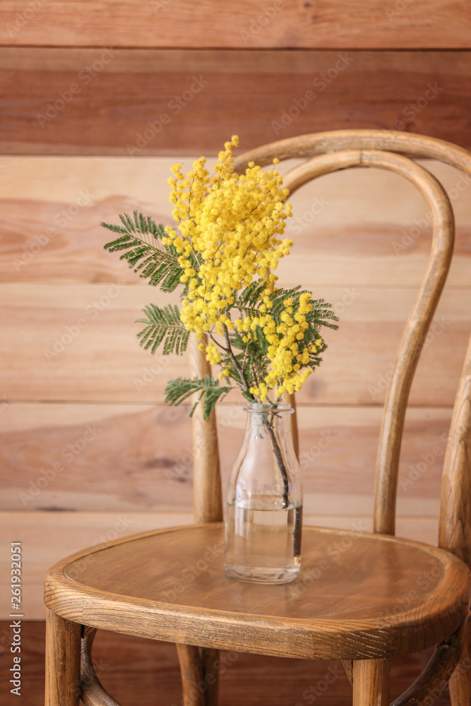 Chair with with beautiful mimosa flowers near wooden wall