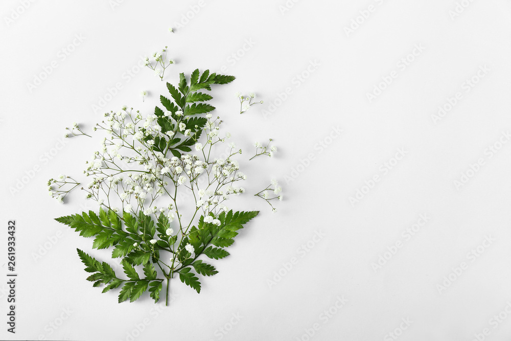 Beautiful flowers with leaves on white background