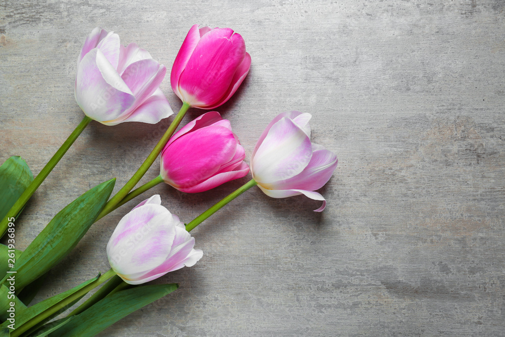 Beautiful tulip flowers on grey background