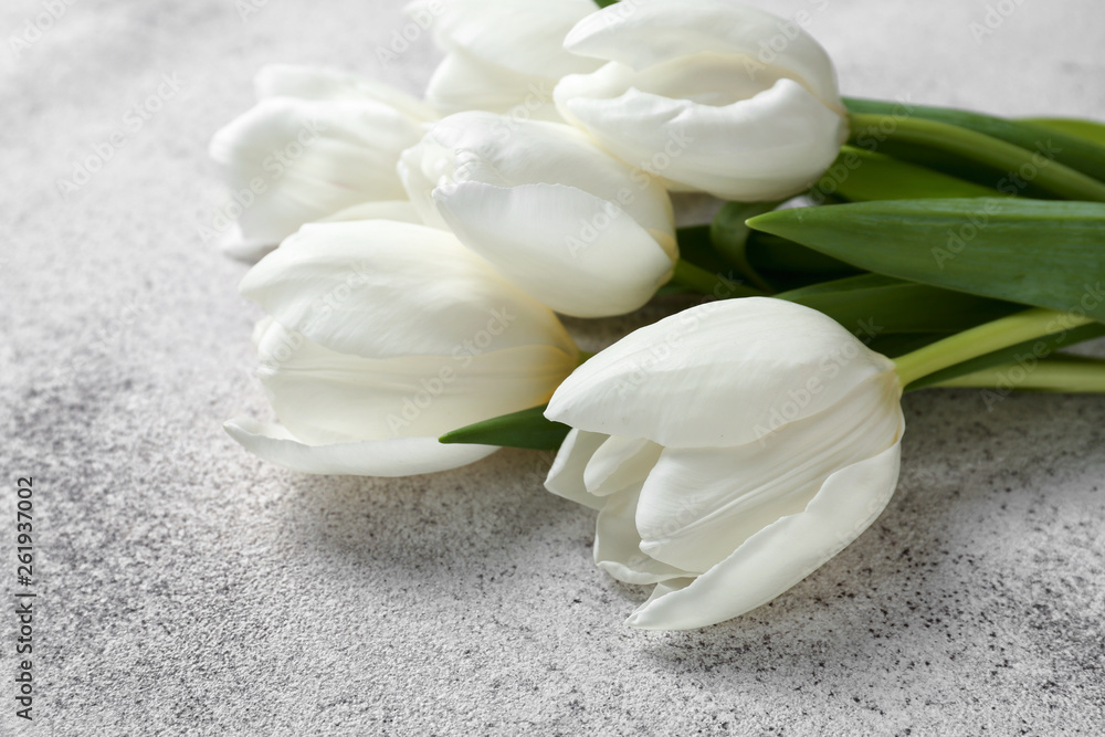 Beautiful tulip flowers on grey background