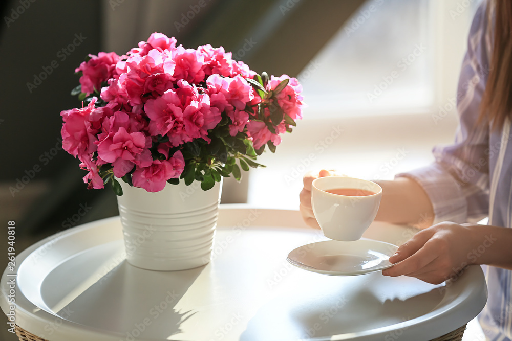 Woman drinking tea at table with beautiful blooming azalea