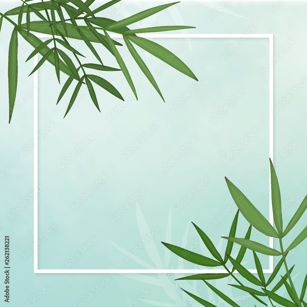 Bamboo leaf background