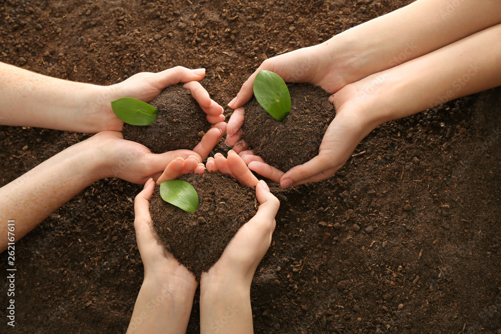 Women setting out plants in soil