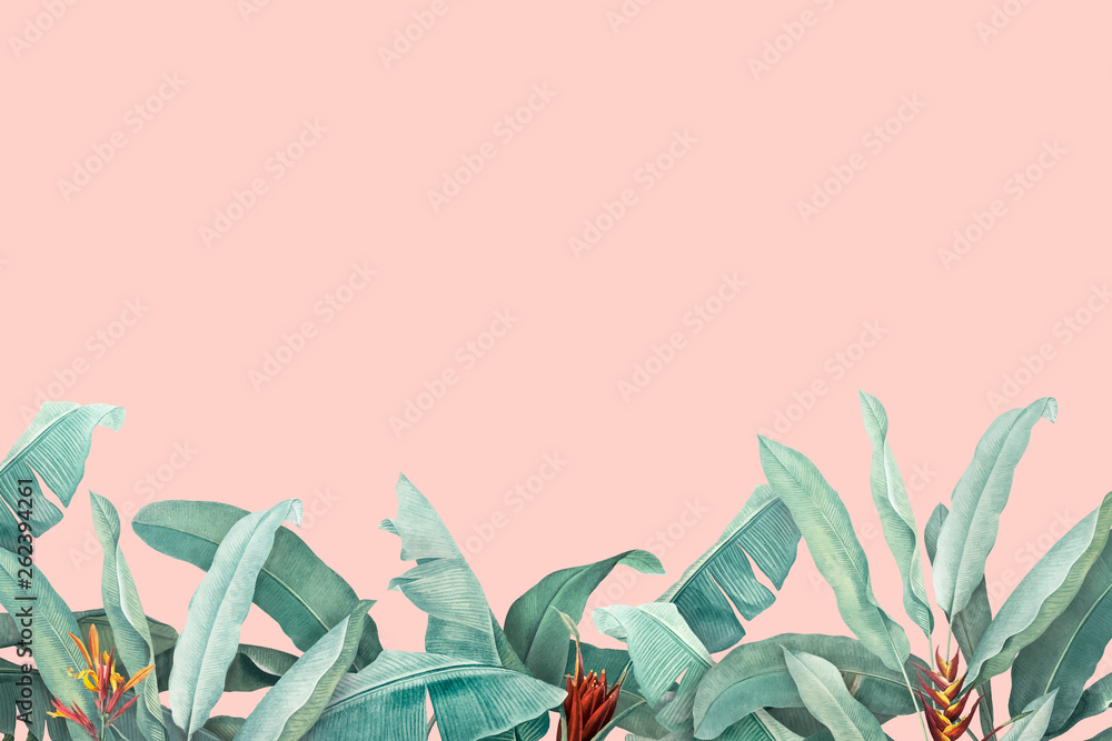 Tropical leaves background