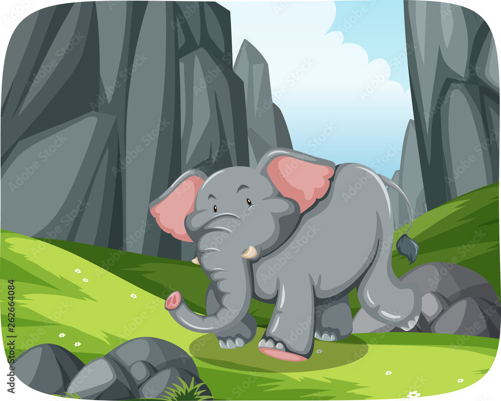 Elephant running in nature scene