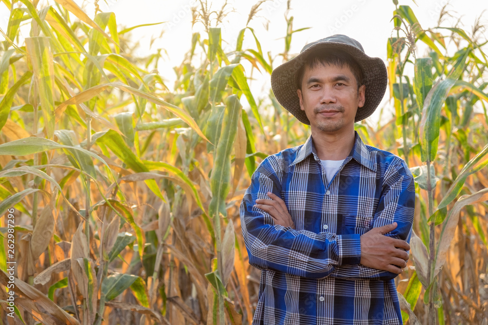 Asian Farmers male standing in corn farm at thailand