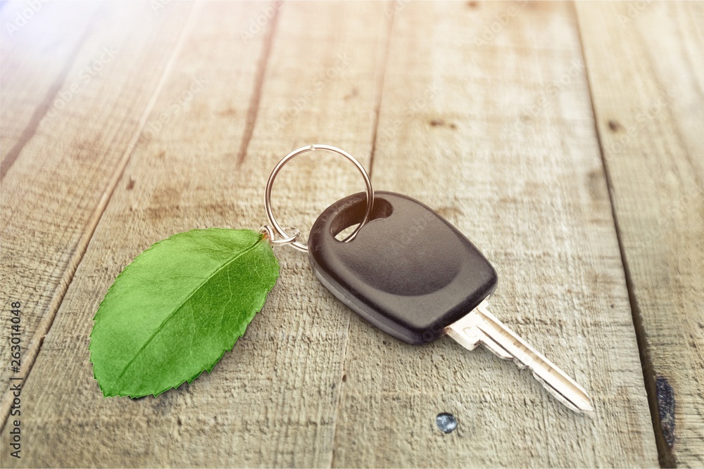 Green car key.