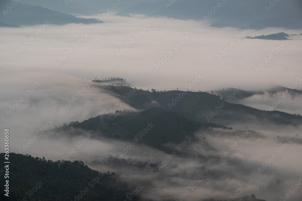 Fog, mountains, sunlight, beautiful mountain tops of the point of view. scenic beauty in the morning