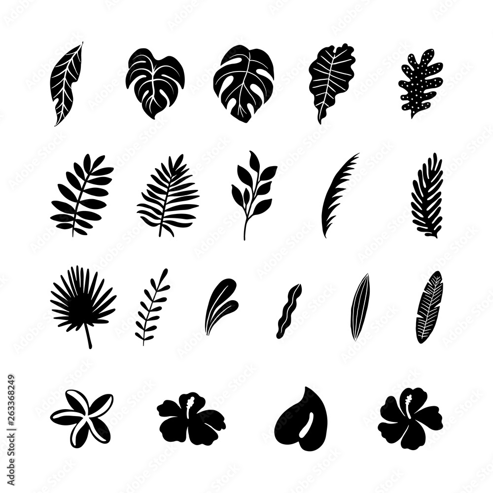 Tropical Botanical Illustrations