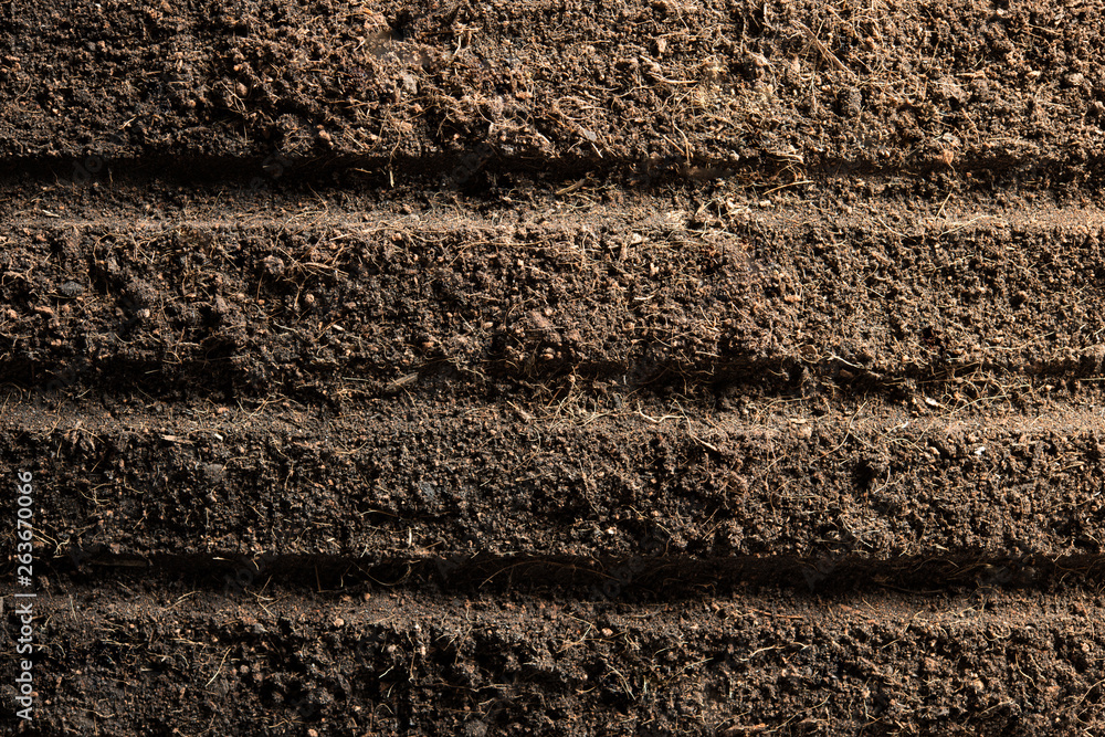  Top view of soil prepared for planting