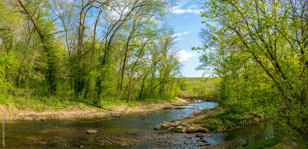 Tanyard Creek自然步道的河景