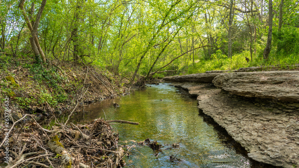 Tanyard Creek自然步道的河景