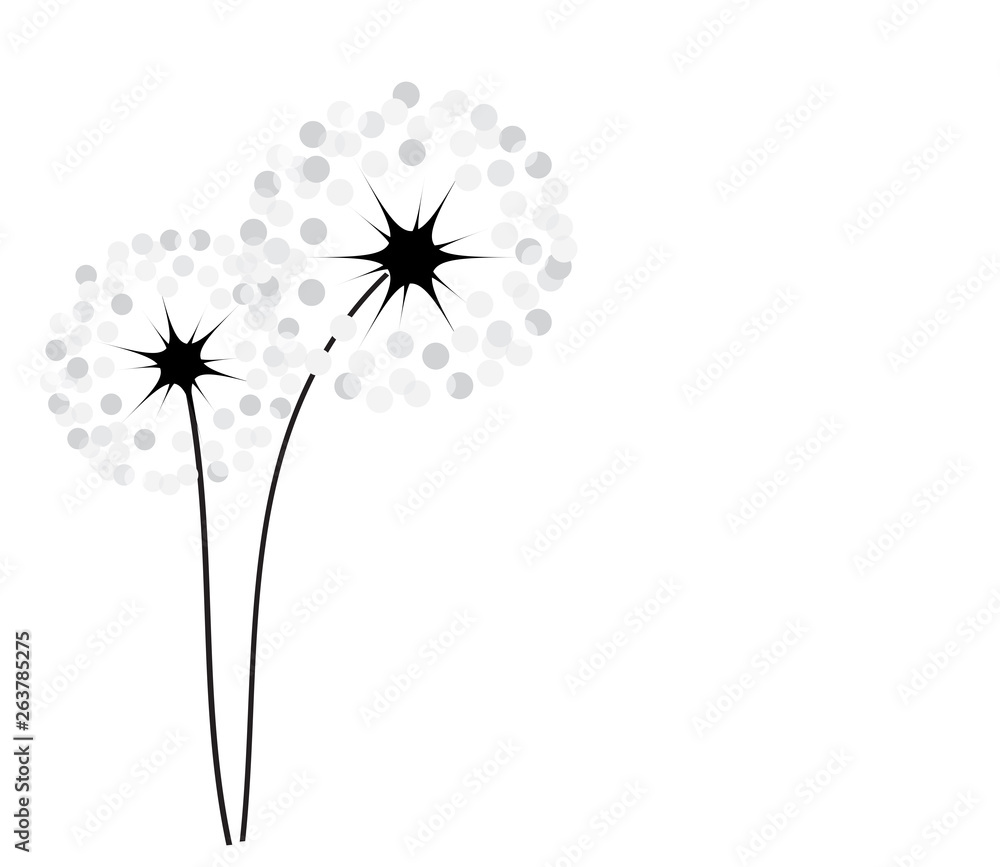 Abstract dandelion background  vector illustration