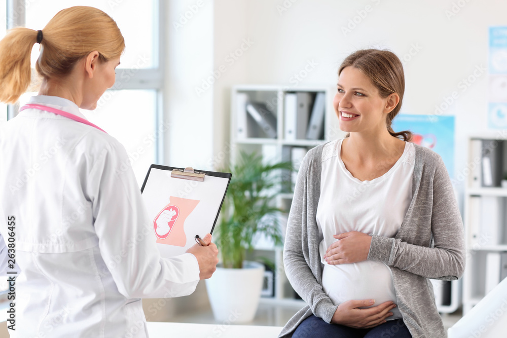 Young pregnant woman visiting her gynecologist in clinic