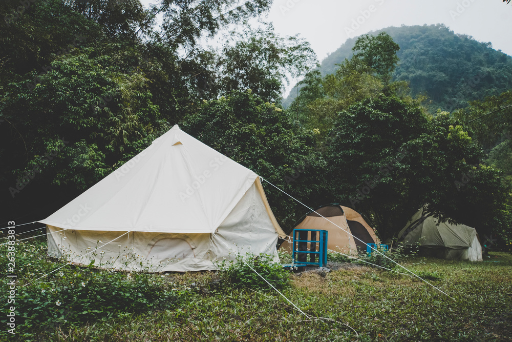 户外森林中的帆布钟形帐篷。在森林中魅力四射。有很多帐篷的旅游营地