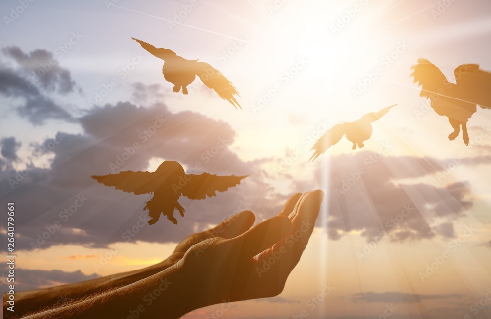 Close-up photo of male hands with birds on clouds background