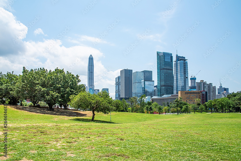 深圳莲花山公园大草原与福田区CBD大厦