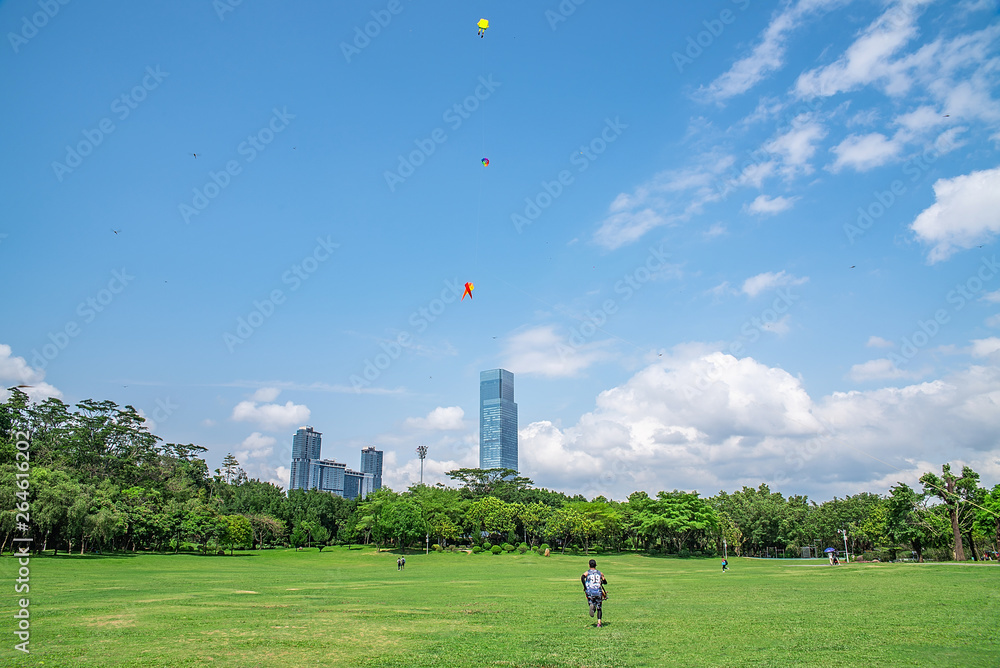 Shenzhen Lianhuashan Park Kite Square