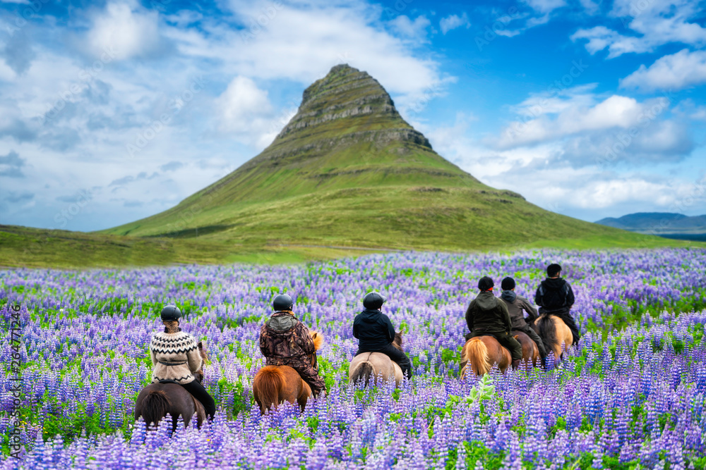 Tourist ride horse at Kirkjufell mountain landscape and waterfall in Iceland summer. Kirjufell is th