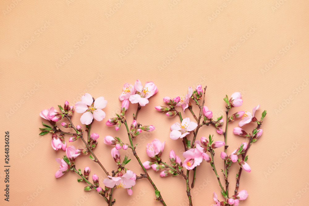 Beautiful blossoming branches on color background