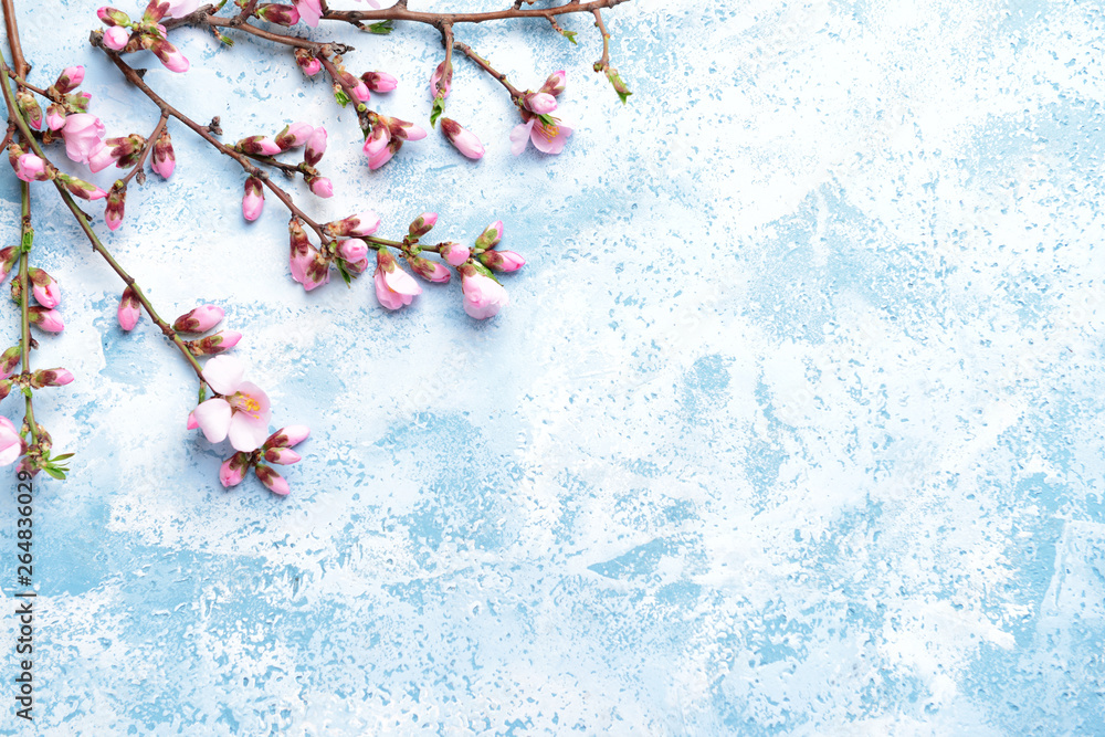 Beautiful blossoming branches on color background